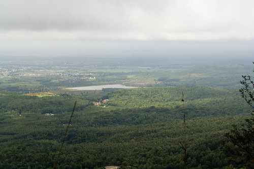 coorg