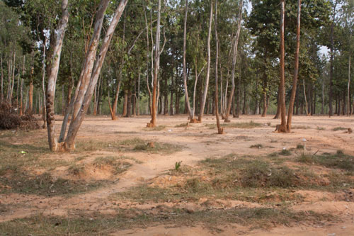 Shantitniketan