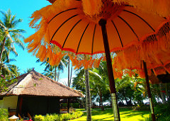 Garden umbrella