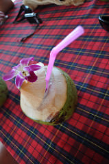 Tender-coconut drink