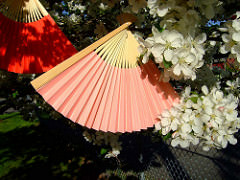 Beautiful, folding hand fans