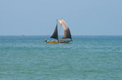 catamaran ride