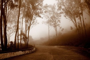 En route to Nandi Hills