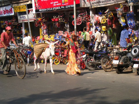 Lady with a donkey on the road