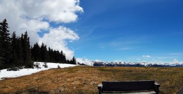 Olympic Peninsula Loop