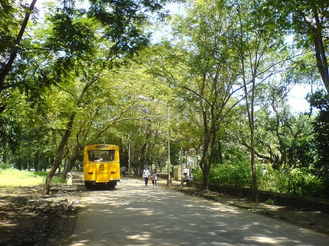 Sanjay Gandhi National Park 