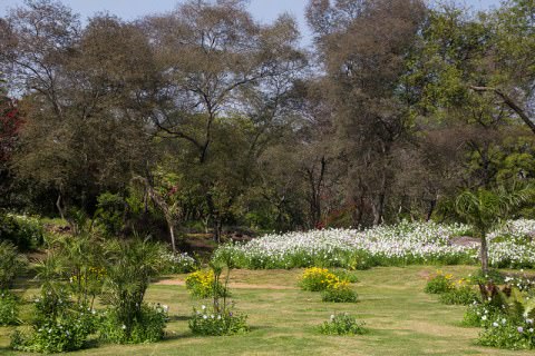 Buddha Jayanti Park