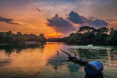 Deer Park, Hauz Khas