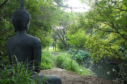 Osho Garden