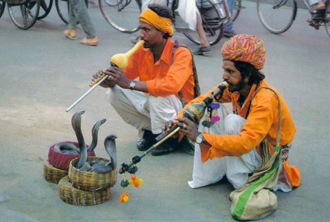 Snake charmers are a rare sight these days