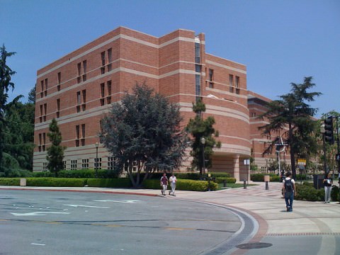 Anderson School of Management