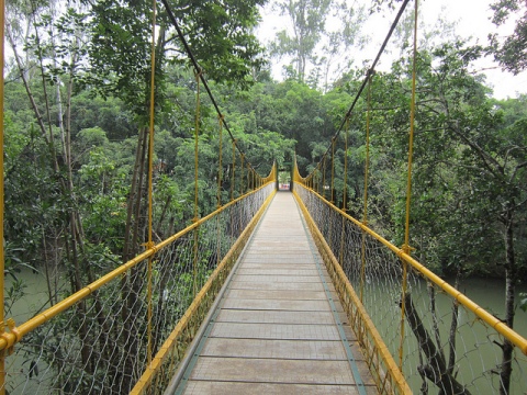 Hanging bridge, Coorg