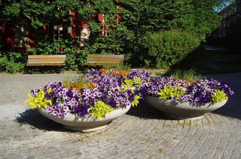 Flower-pots