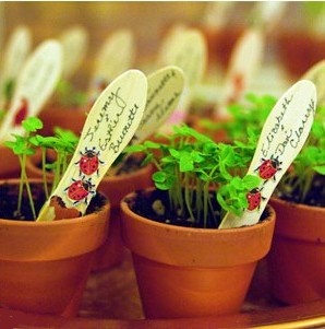 Potted-plants as wedding favors