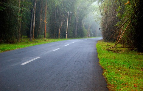 Roads in Wayanad