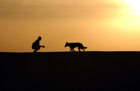 Dogs make good friends