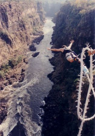 Crocodile Bungee Jumping