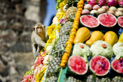 Monkey buffet festival